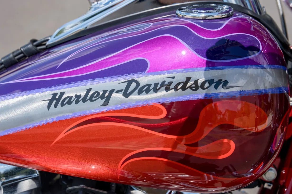 2006 Harley-Davidson CVO Screamin’ Eagle Fat Boy, view